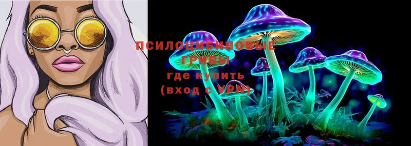 Псилоцибиновые грибы Cubensis Руза